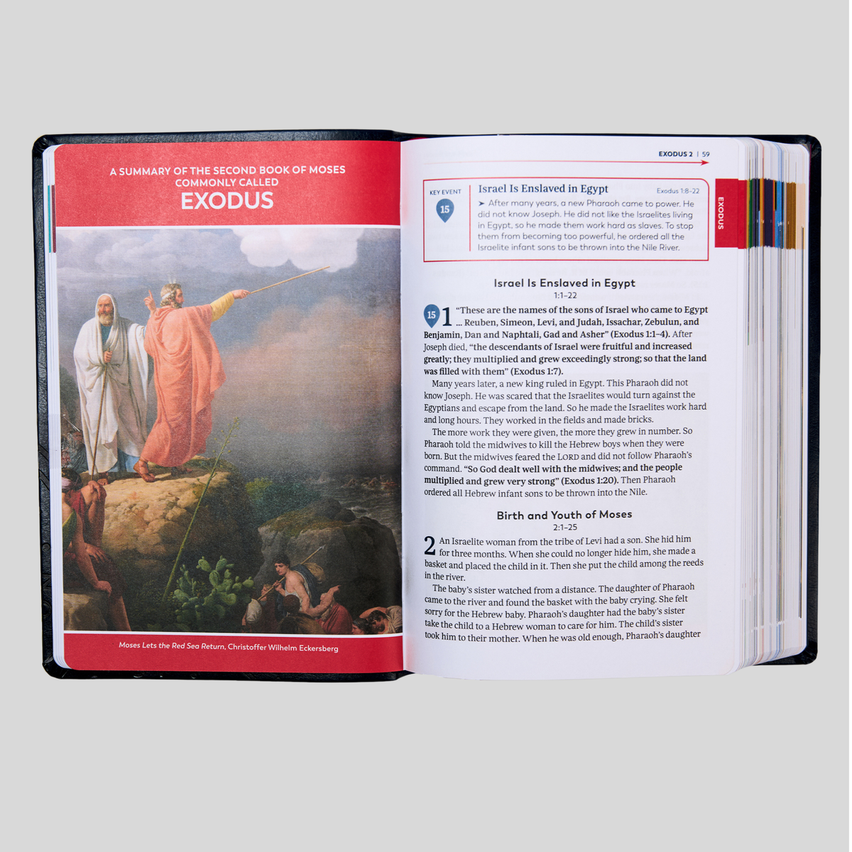 The Great Adventure Catholic Bible for Beginners (Level 2), Classroom Edition