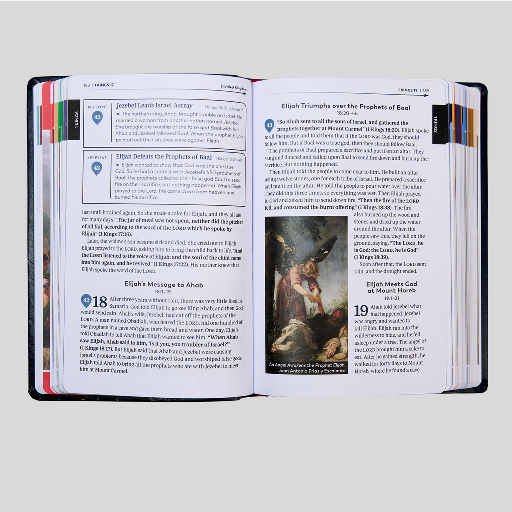 The Great Adventure Catholic Bible for Beginners (Level 2), Classroom Edition