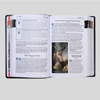 The Great Adventure Catholic Bible for Beginners (Level 2), Classroom Edition