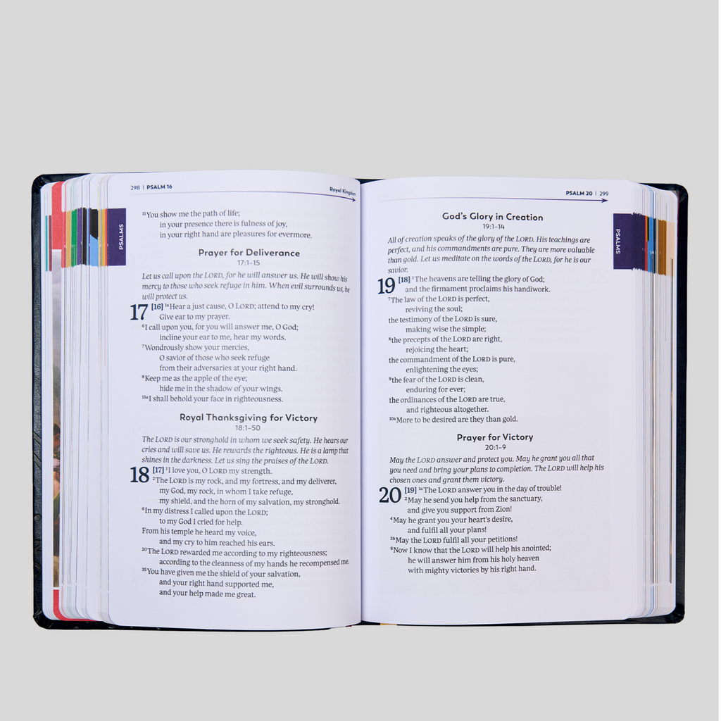 The Great Adventure Catholic Bible for Beginners (Level 2), Classroom Edition