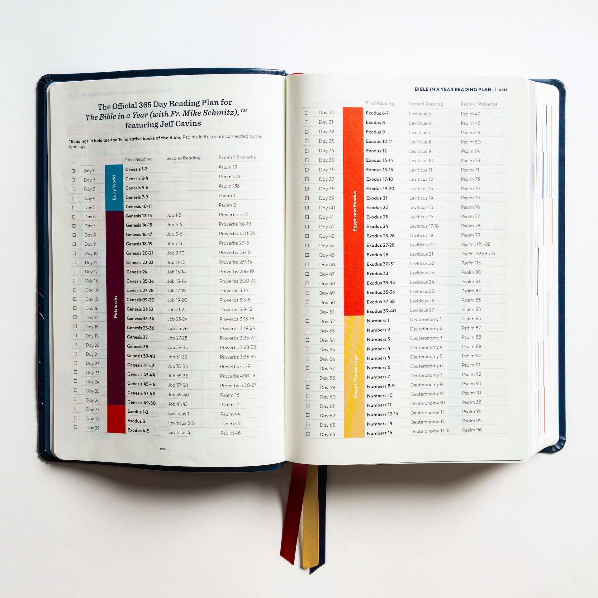 The Bible in a Year Starter Pack (Leatherlike) – Ascension