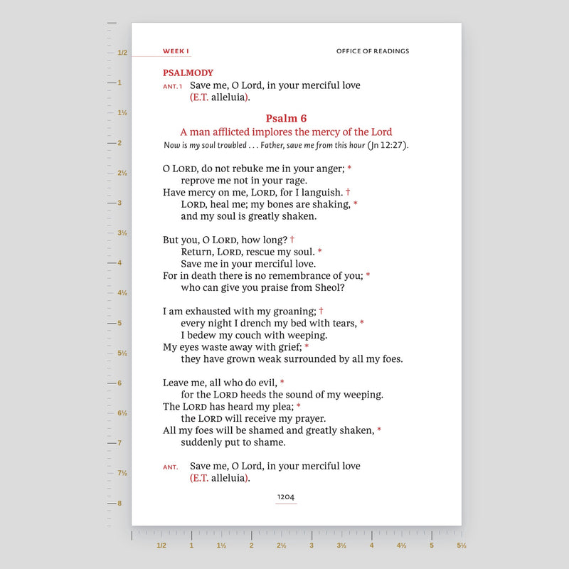 Large Print (12.41pt)
