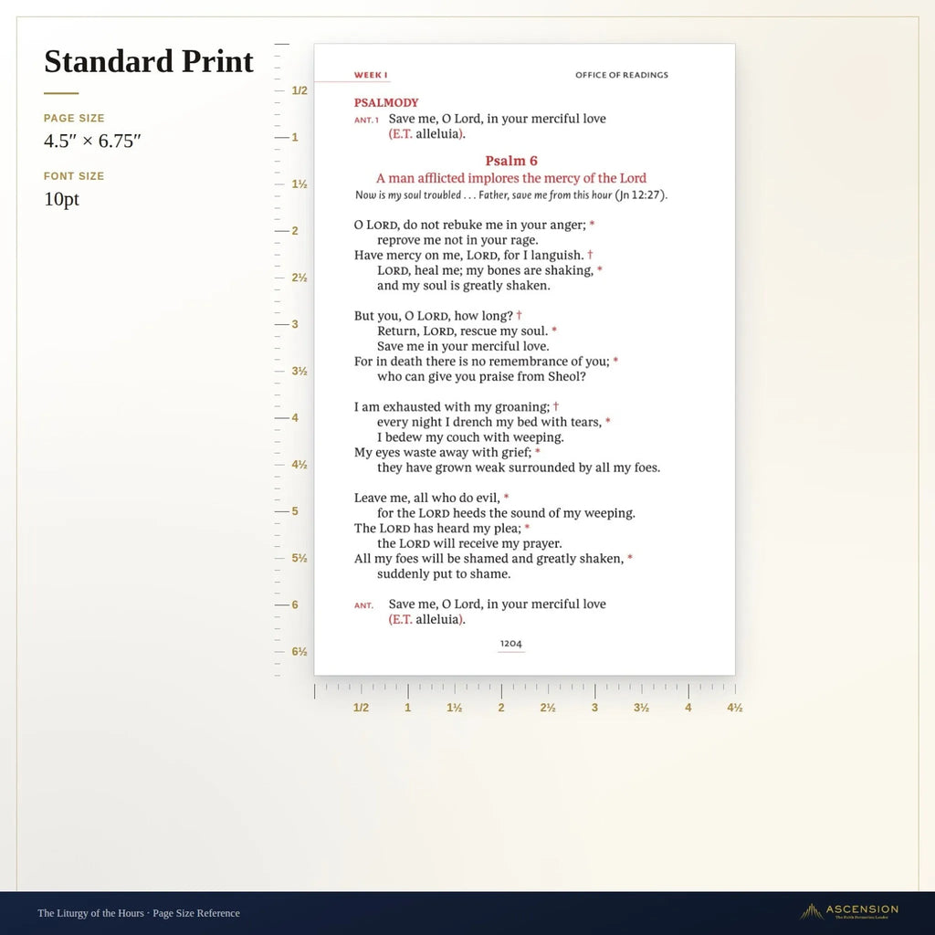 Standard Leather / Standard Print