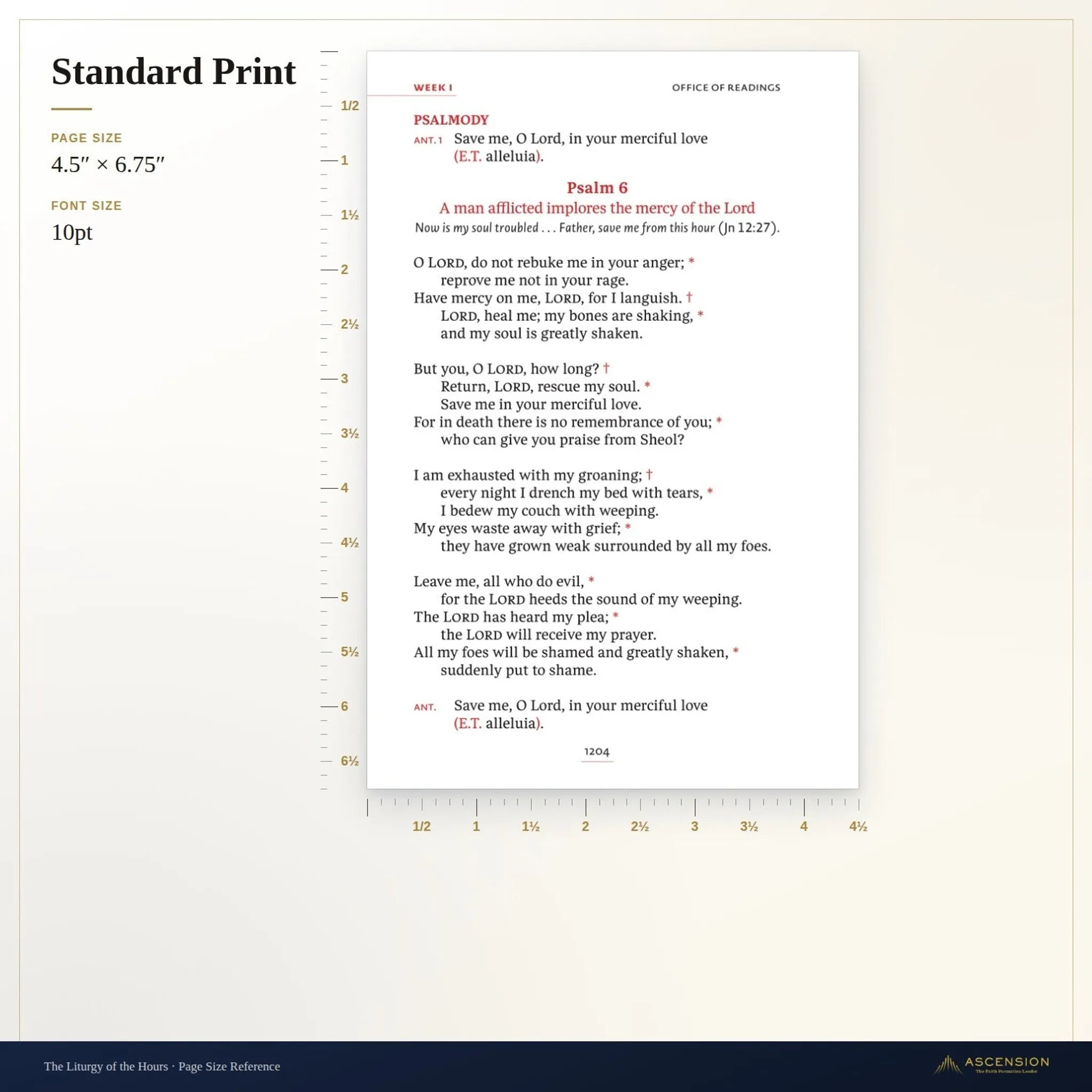 Standard Leather / Standard Print