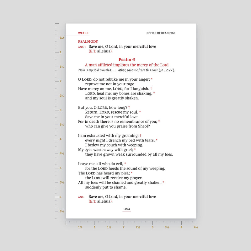 Standard Print (10 pt)