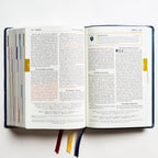 Holy Bible - The Great Adventure Catholic Bible, Second Edition