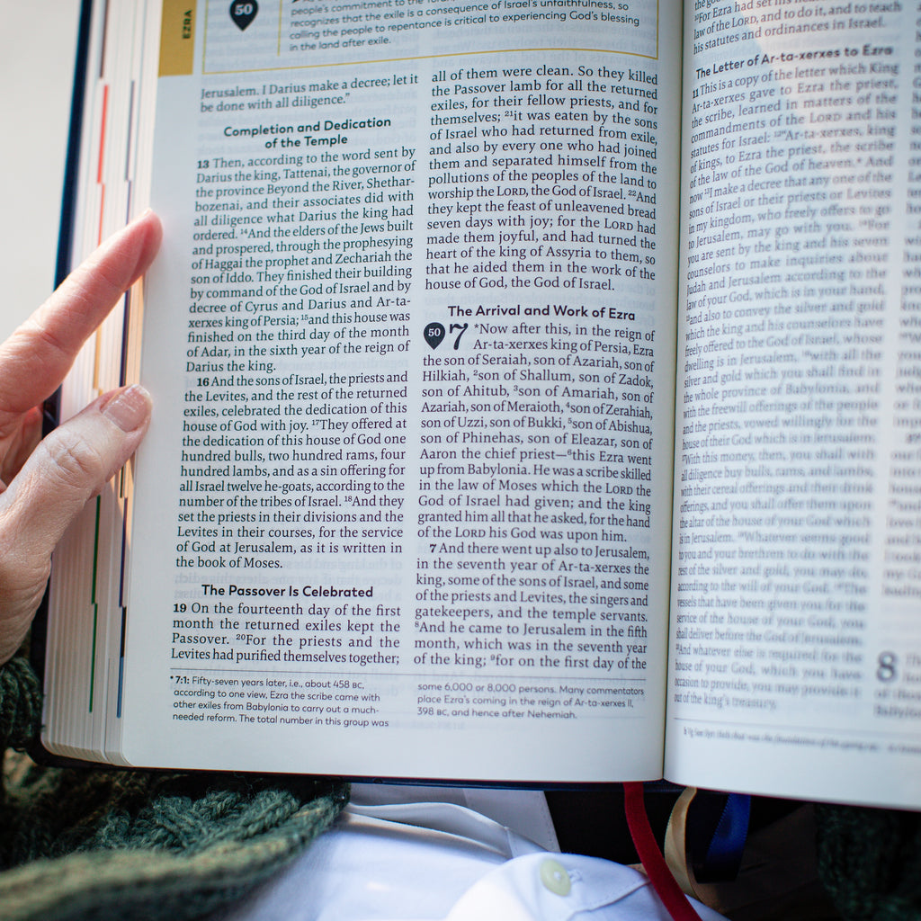 Holy Bible - The Great Adventure Catholic Bible, Second Edition