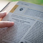 Holy Bible - The Great Adventure Catholic Bible, Second Edition