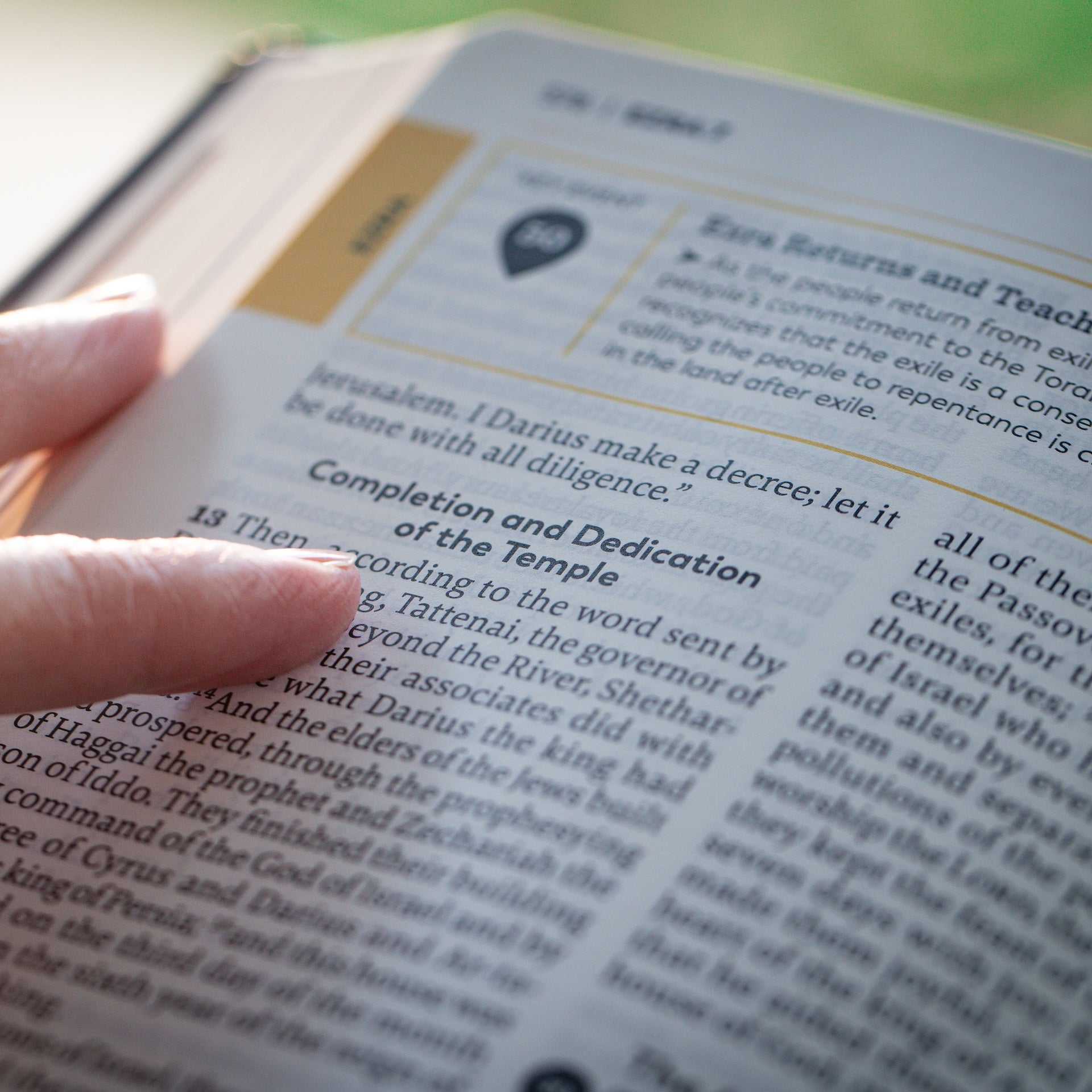 Holy Bible - The Great Adventure Catholic Bible, Second Edition