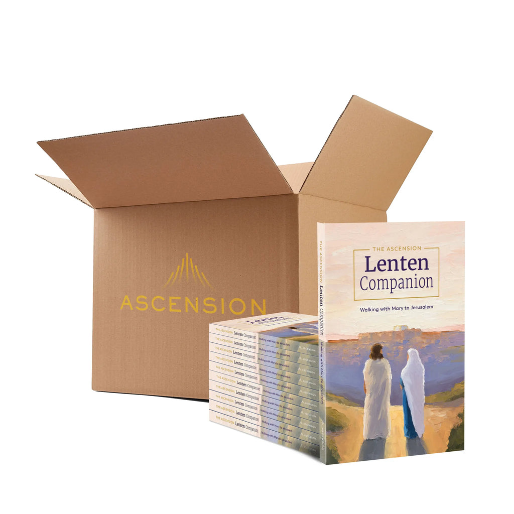 Case (20 Books)