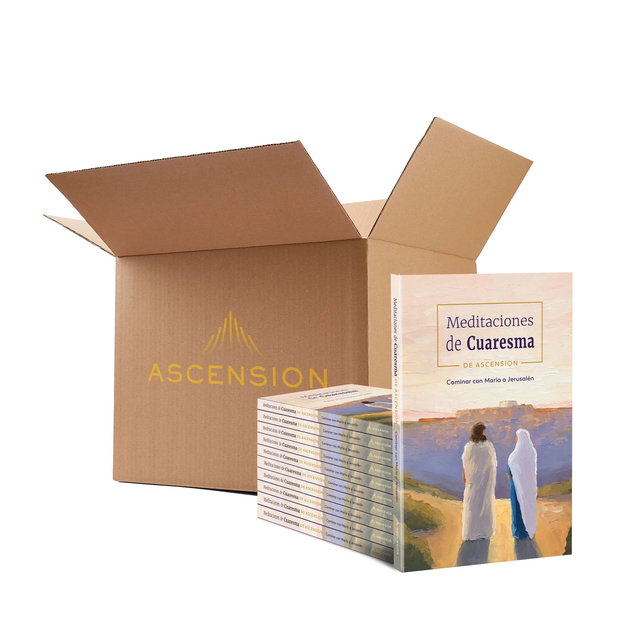 Caja de 20