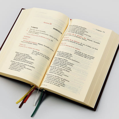 Liturgy of the Hours