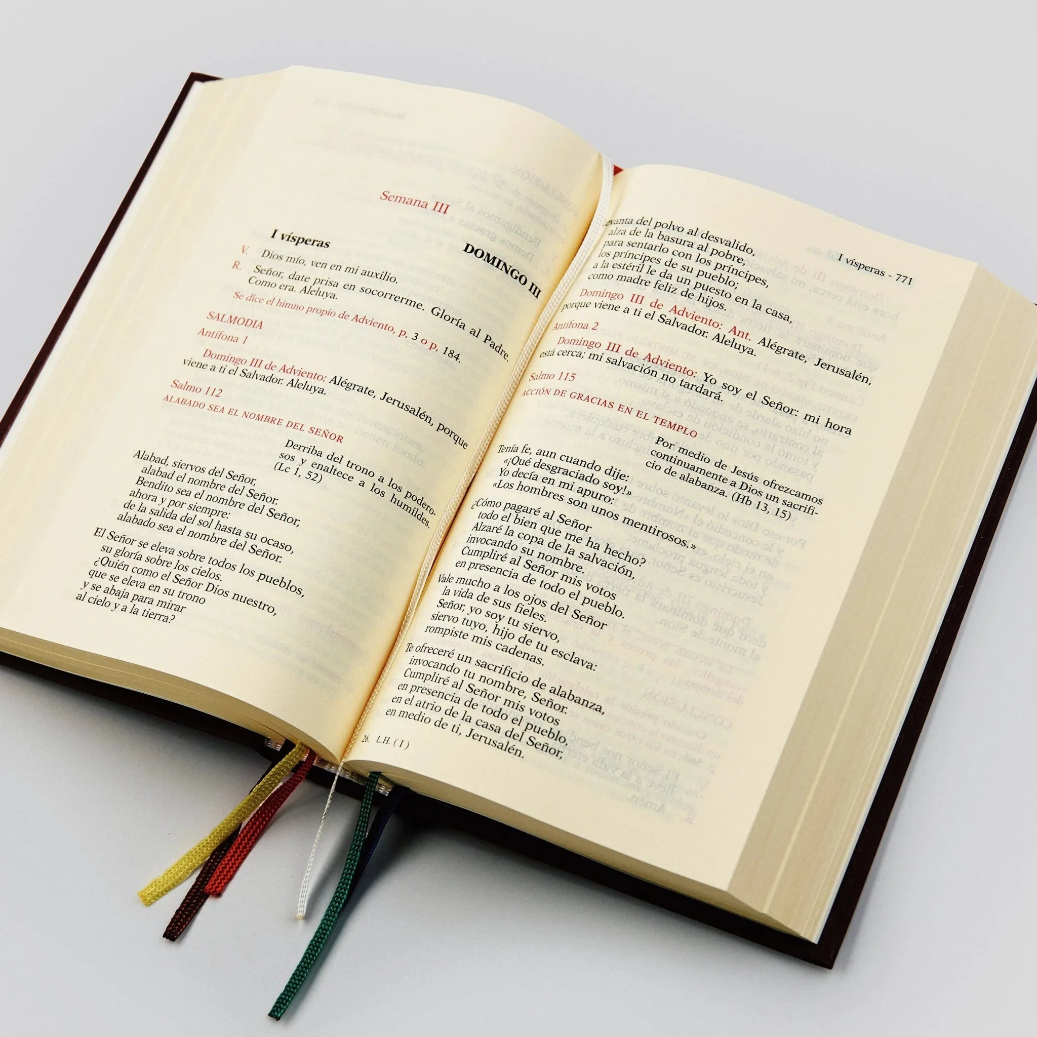 Liturgy of the Hours