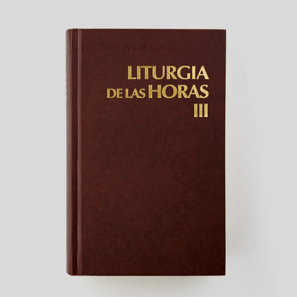 Liturgy of the Hours