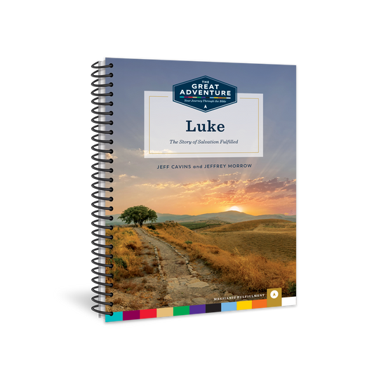 Luke: The Story of Salvation Fulfilled, Workbook