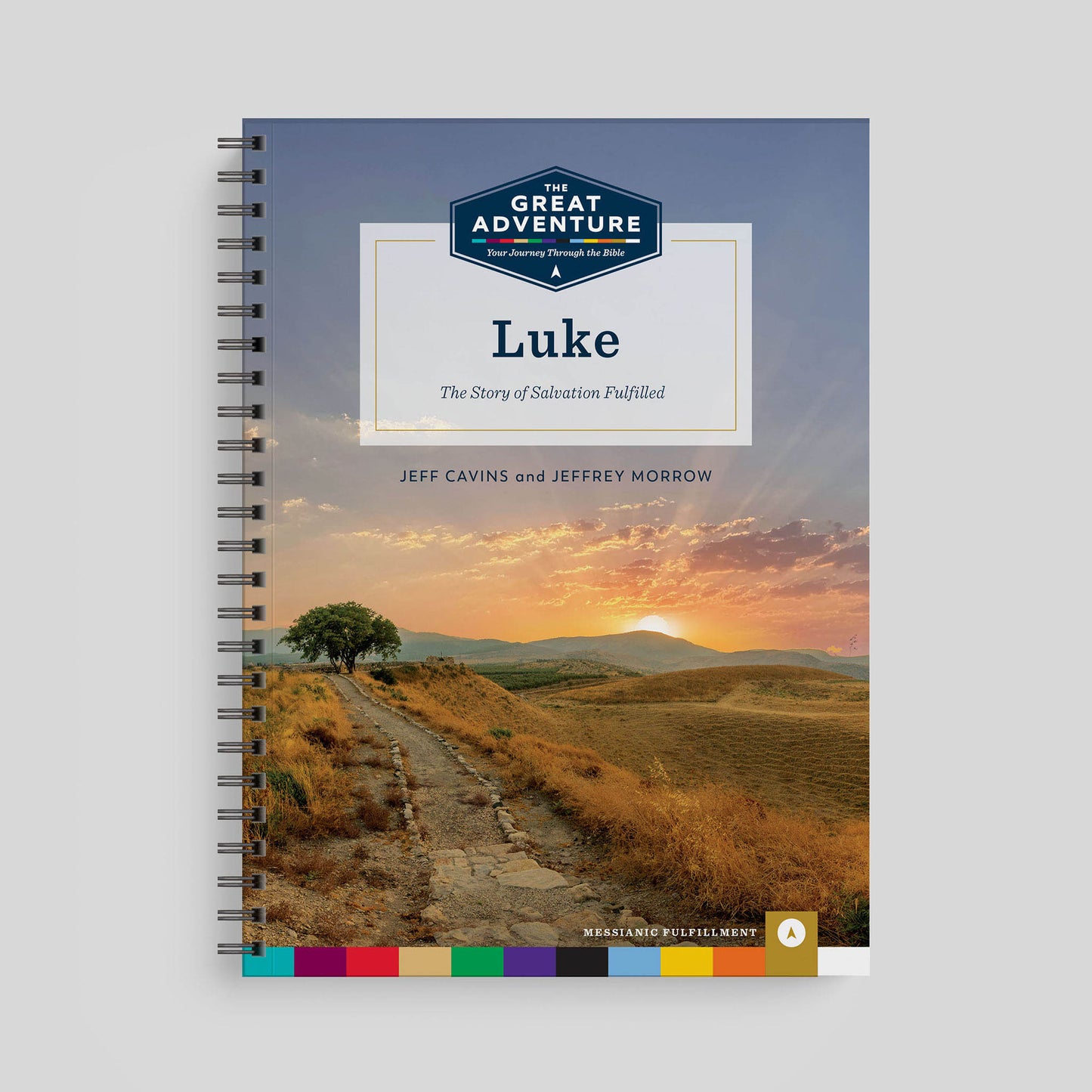 Luke: The Story of Salvation Fulfilled, Workbook