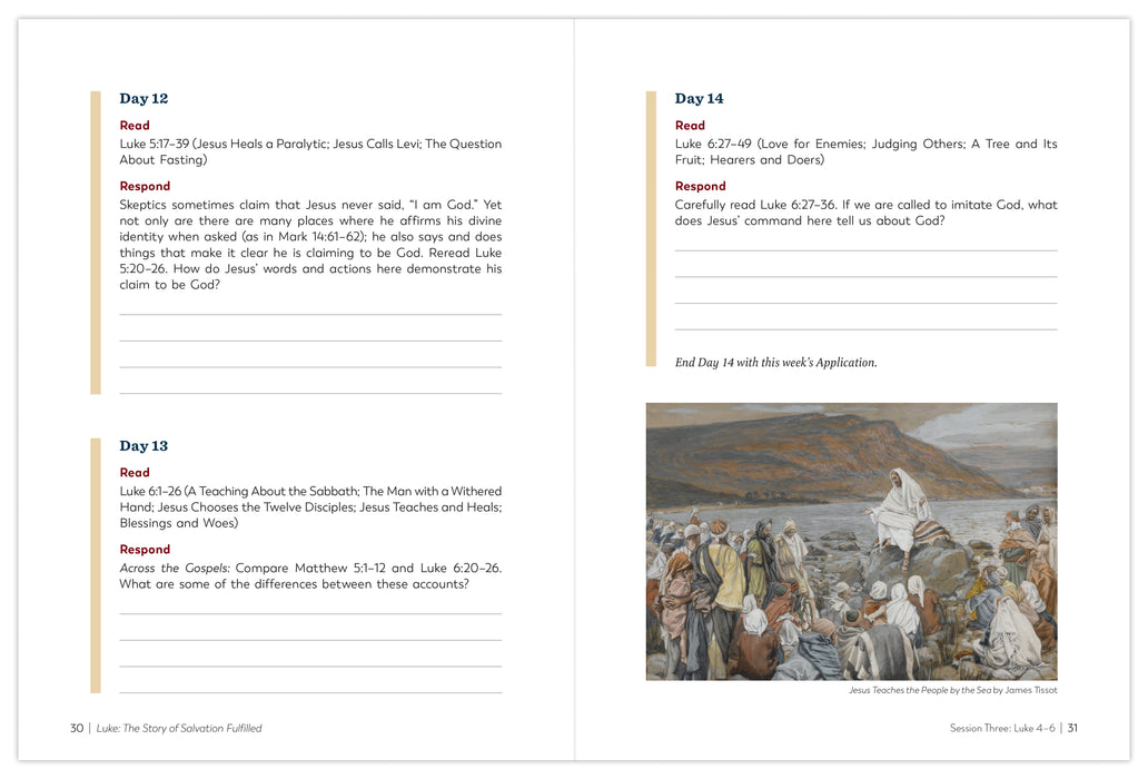 Luke: The Story of Salvation Fulfilled, Workbook