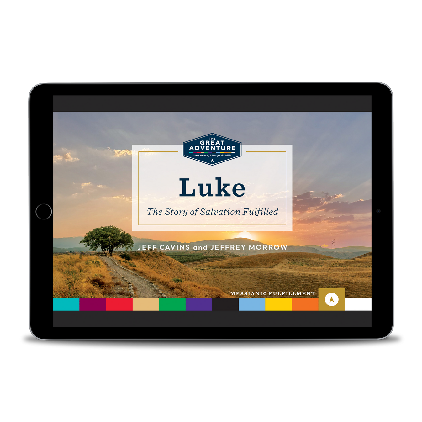 Luke: The Story of Salvation Fulfilled, Online Access – Ascension