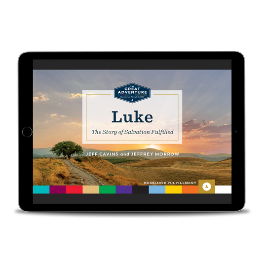 Luke: The Story of Salvation Fulfilled, Online Access