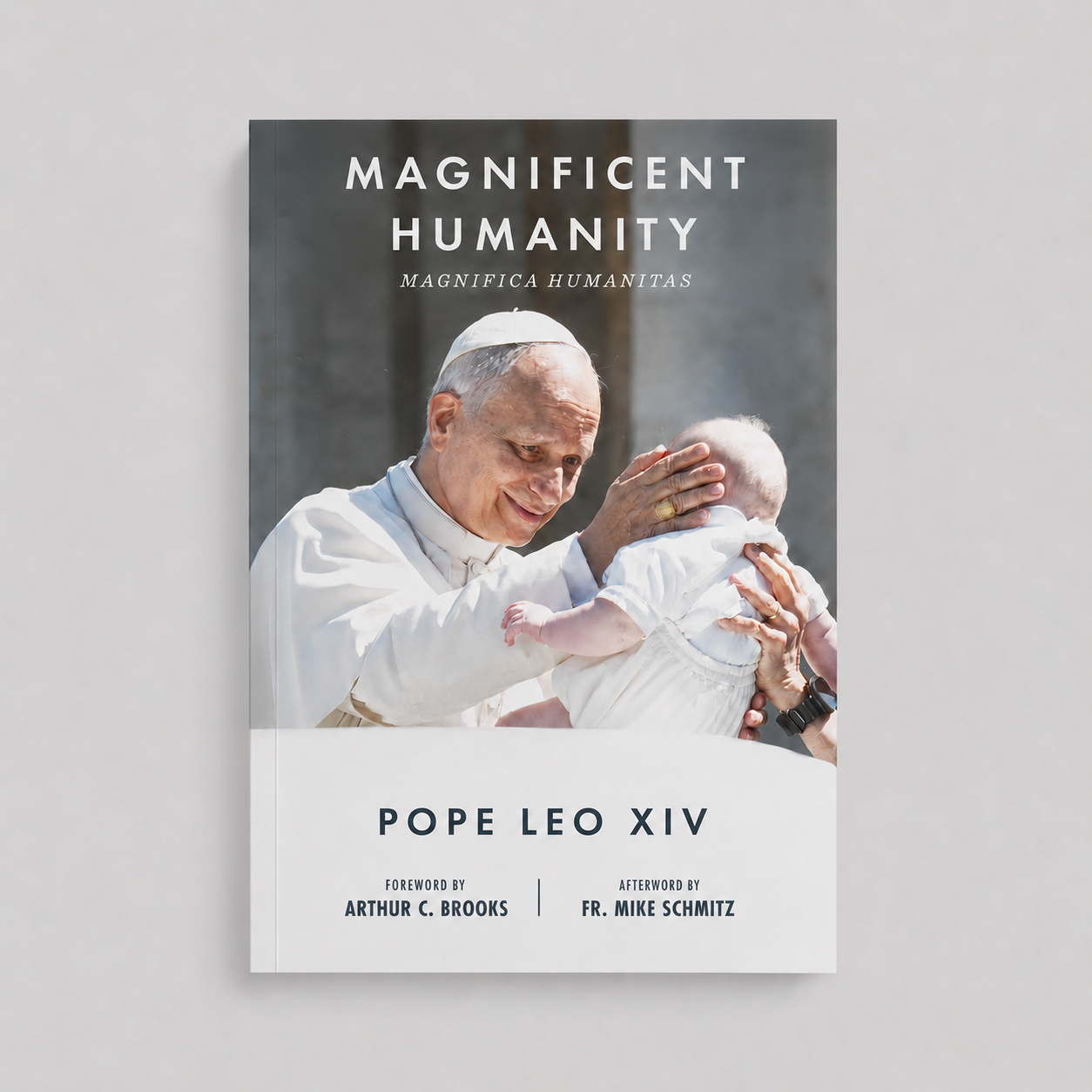 Magnifica Humanitas ("Magnificent Humanity")