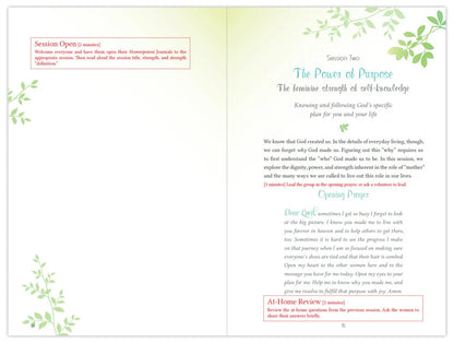 Momnipotent Leader's Guide Journal