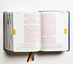 Holy Bible - The Great Adventure Catholic Bible, Second Edition