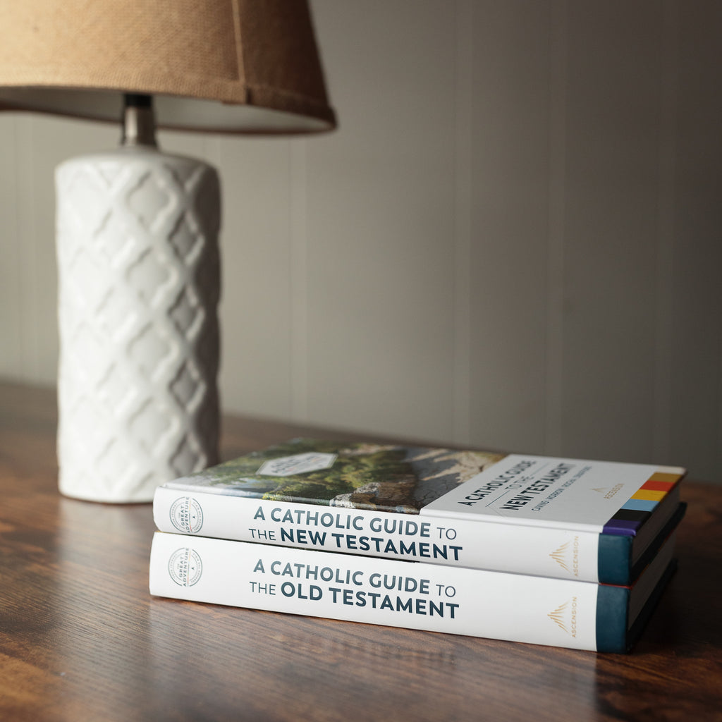 A Catholic Guide to the New Testament