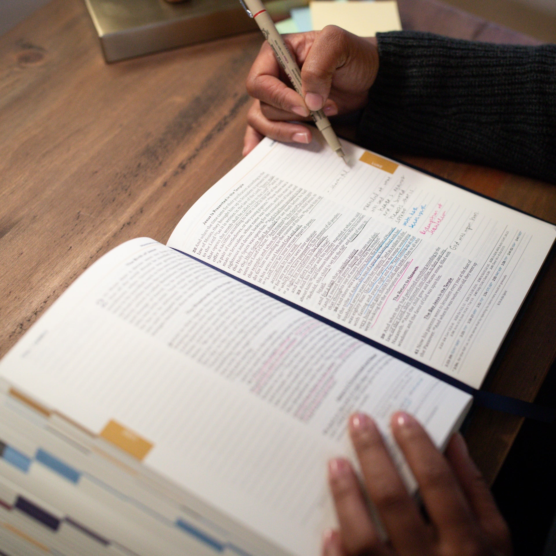 Holy Bible - The Great Adventure Catholic Bible, Second Edition