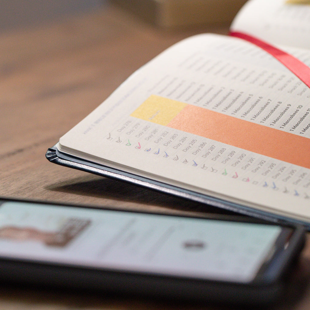 Holy Bible - The Great Adventure Catholic Bible, Second Edition