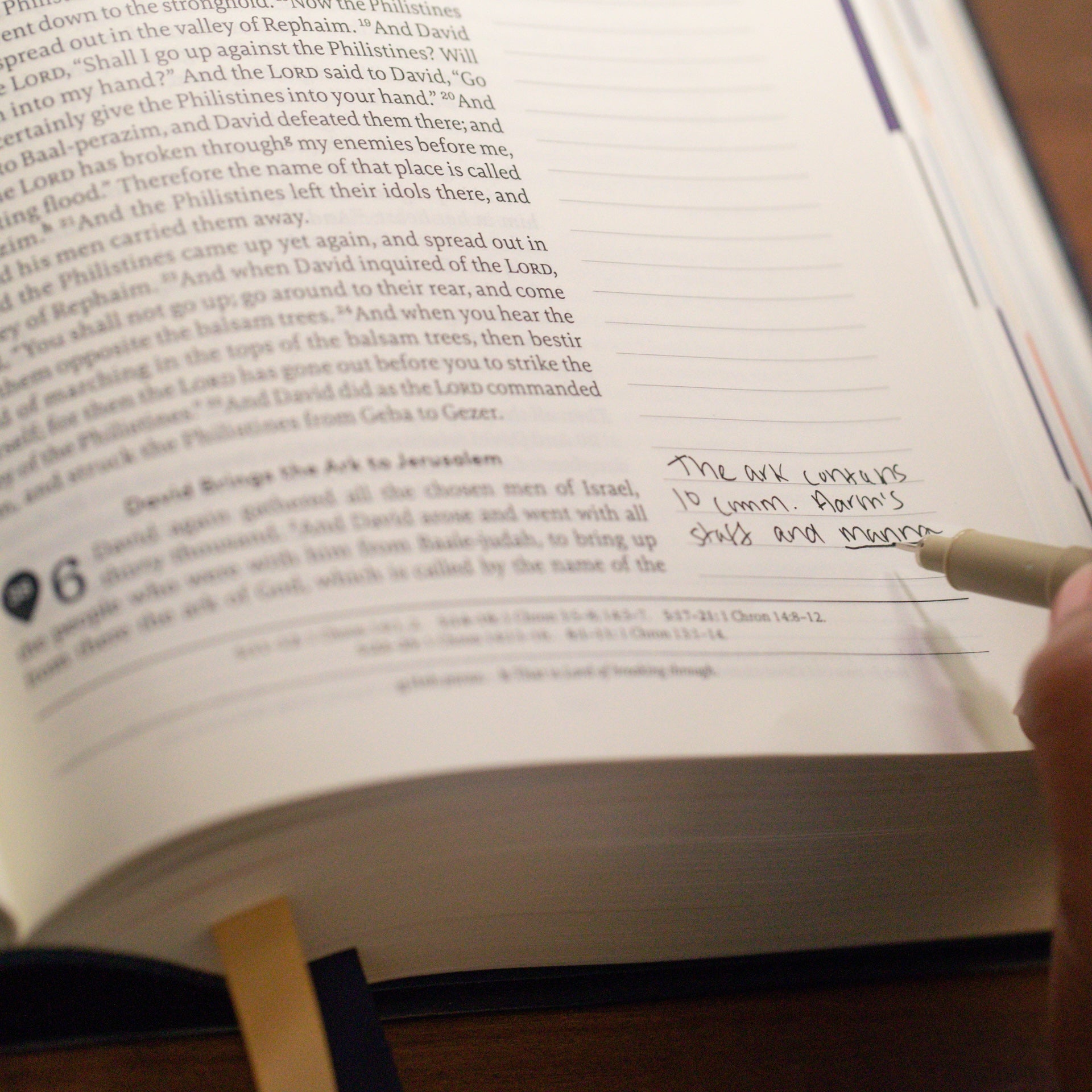 Holy Bible - The Great Adventure Catholic Bible, Second Edition