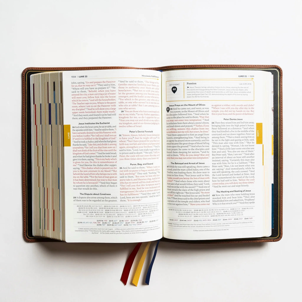 Holy Bible - The Great Adventure Catholic Bible, Second Edition