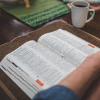 Holy Bible - The Great Adventure Catholic Bible, Second Edition