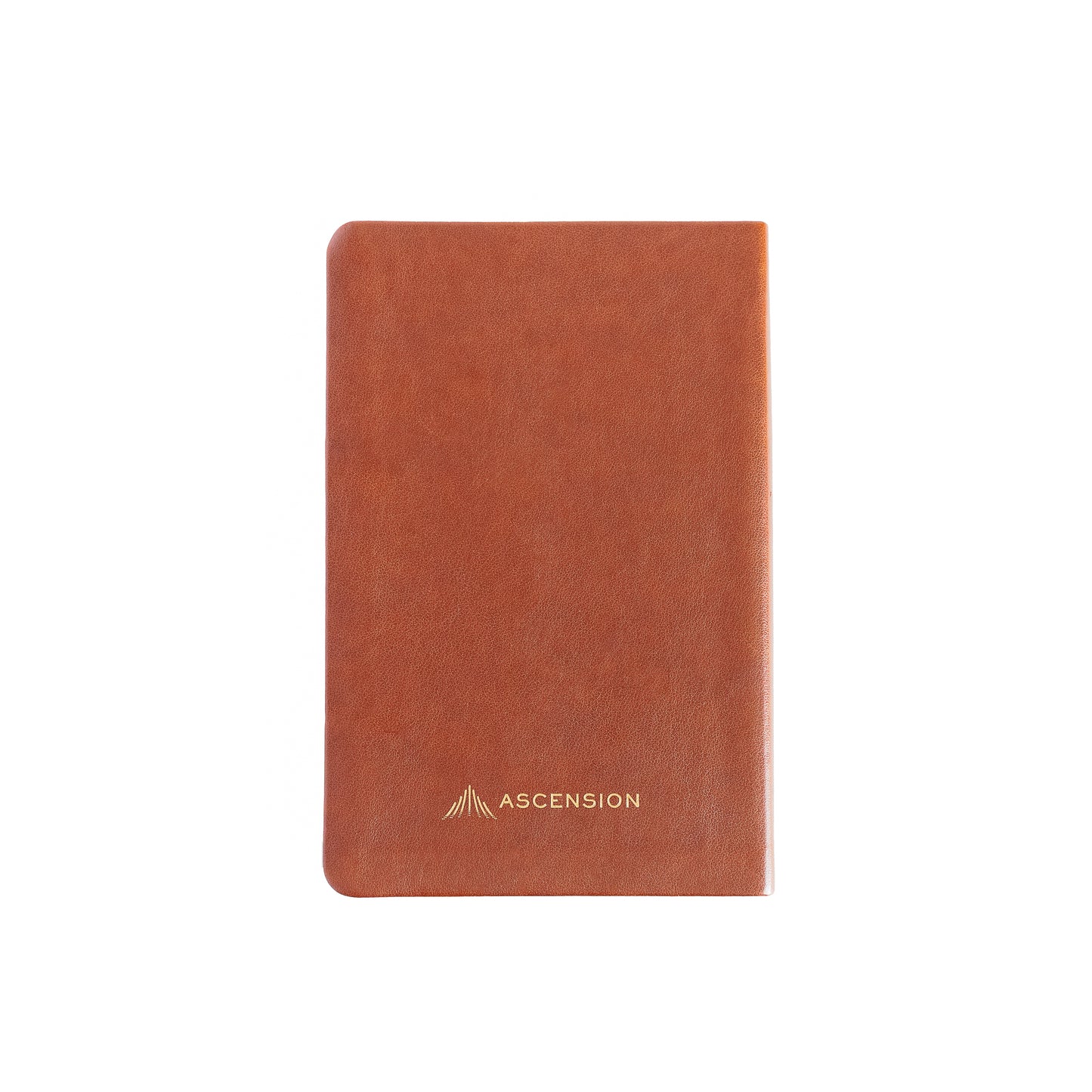Pocket Guide to the Works of Mercy