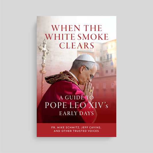When the White Smoke Clears: A Guide to the Early Days of Pope Leo XIV