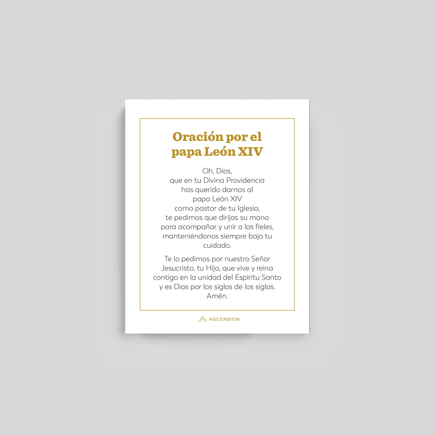 Pope Leo XIV Prayer Cards