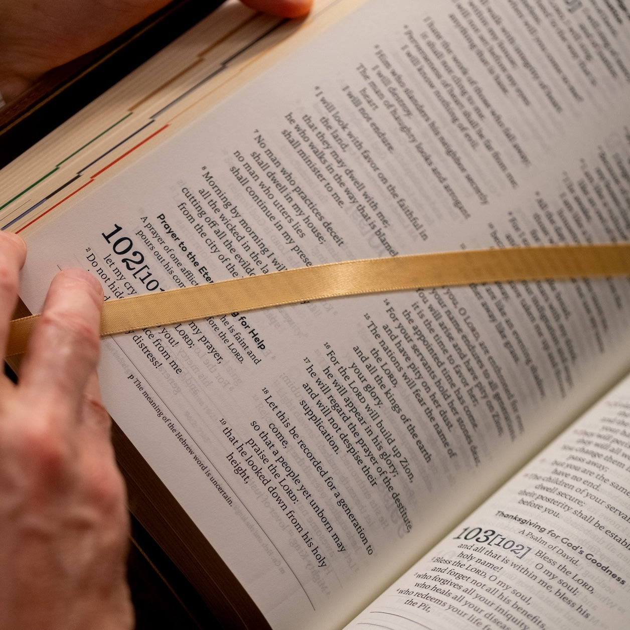 Holy Bible - The Great Adventure Catholic Bible, Second Edition