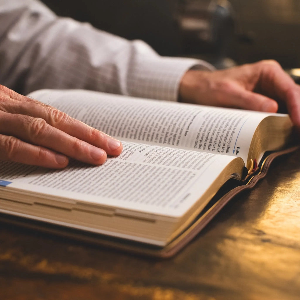 Holy Bible - The Great Adventure Catholic Bible, Second Edition
