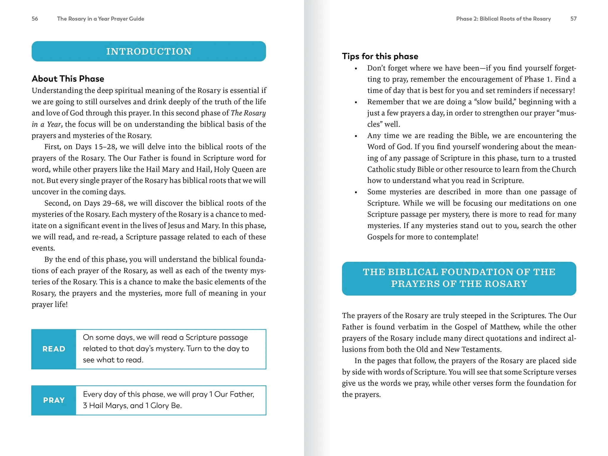 The Rosary in a Year Prayer Guide