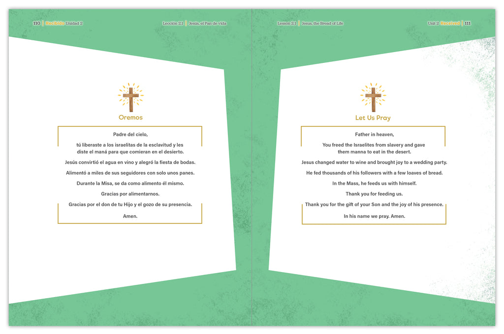 Received Second Edition: Your Journey to First Communion Student Workbook only