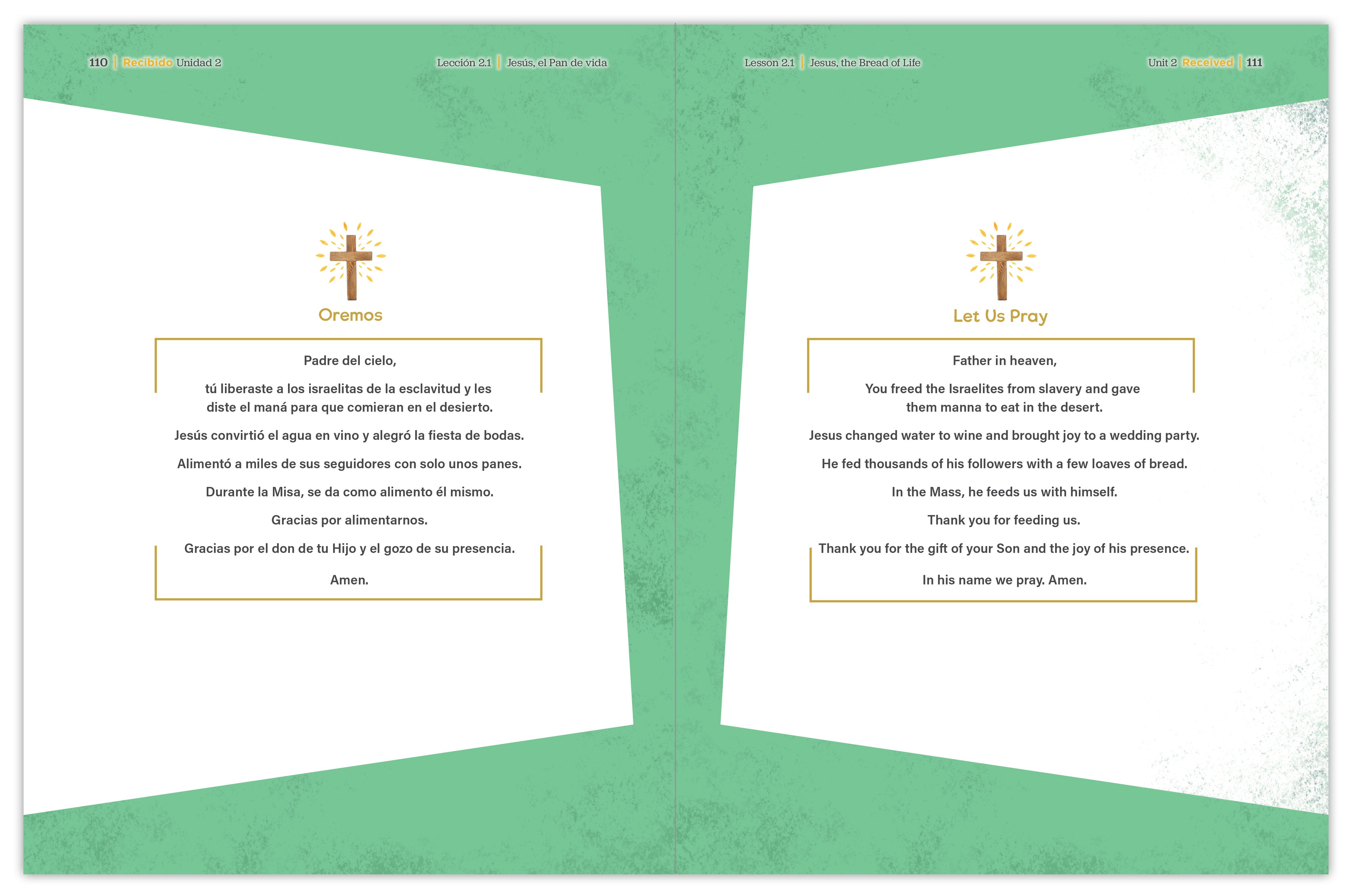 Received Second Edition: Your Journey to First Communion Student Workbook only