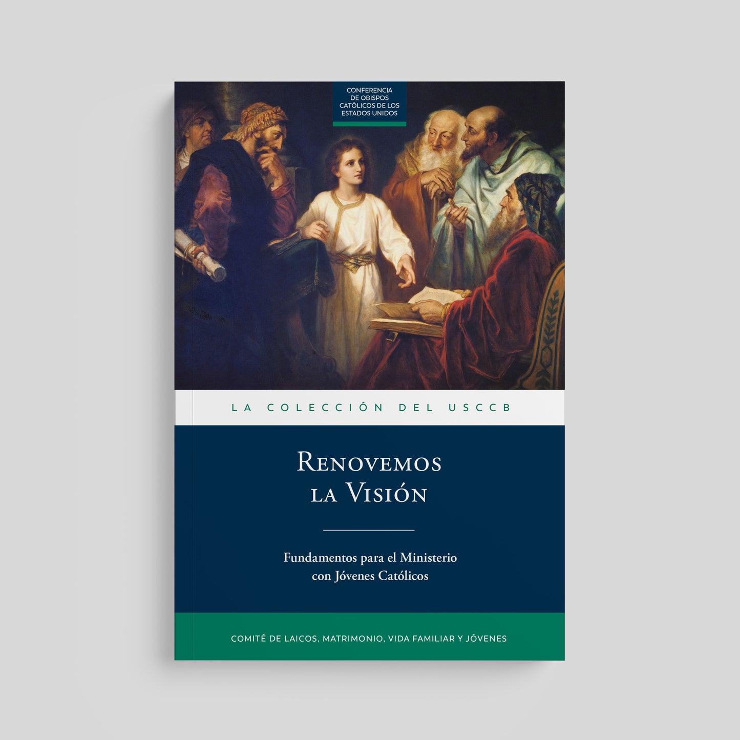 Renewing the Vision: A Framework for Catholic Youth Ministry