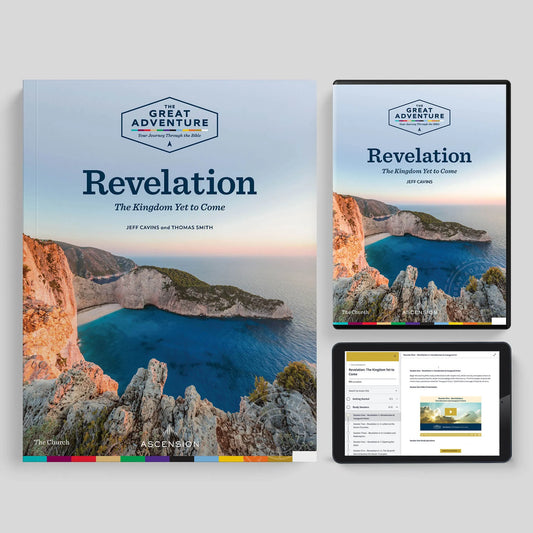 Revelation: The Kingdom Yet to Come, Starter Pack Bundle