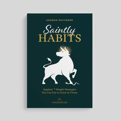 Saintly Habits: Aquinas' 7 Simple Strategies You Can Use to Grow in Virtue