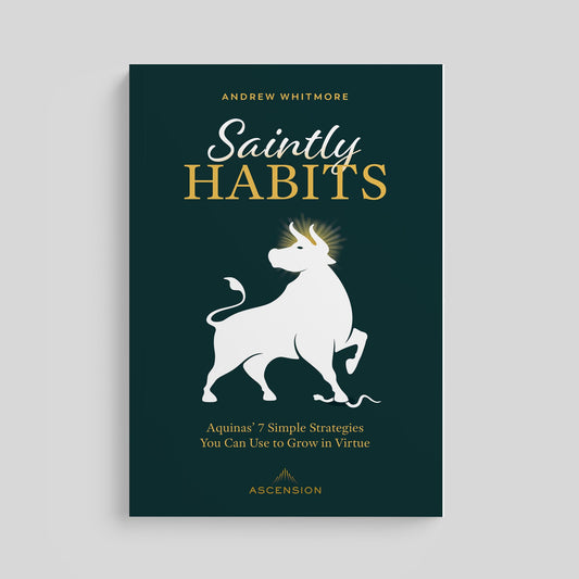 [E-BOOK] Saintly Habits: Aquinas' 7 Simple Strategies You Can Use to Grow in Virtue