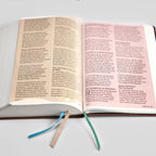 La Biblia RSV-2CE, Edición para Disléxicos