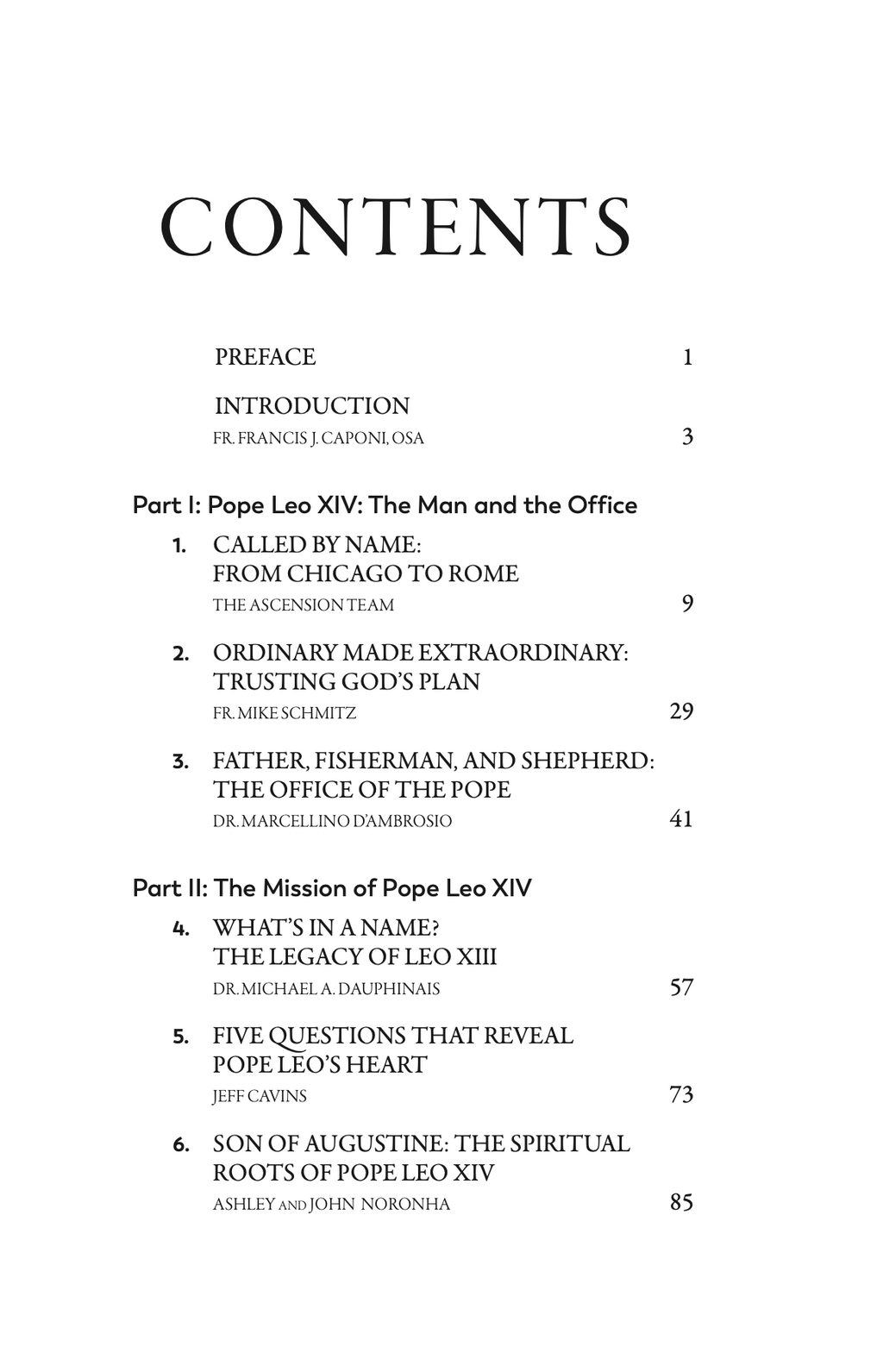 When the White Smoke Clears: A Guide to Pope Leo XIV's Early Days