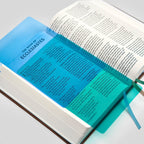 La Biblia RSV-2CE, Edición para Disléxicos