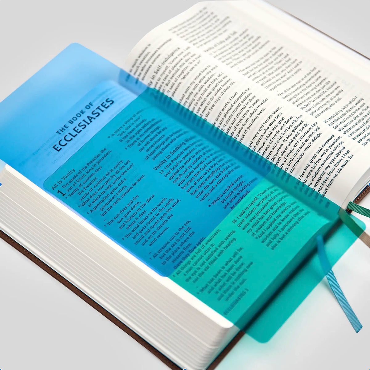 La Biblia RSV-2CE, Edición para Disléxicos