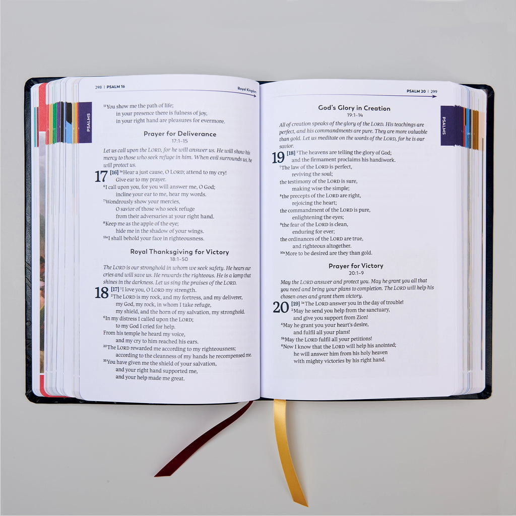 La Gran Aventura de la Biblia Católica para Principiantes