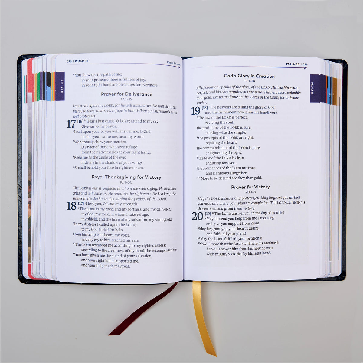 La Gran Aventura de la Biblia Católica para Principiantes